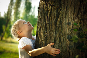 La stabilità biomeccanica degli alberi