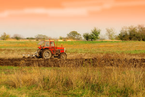 Il Quaderno di Campagna nelle aziende agricole